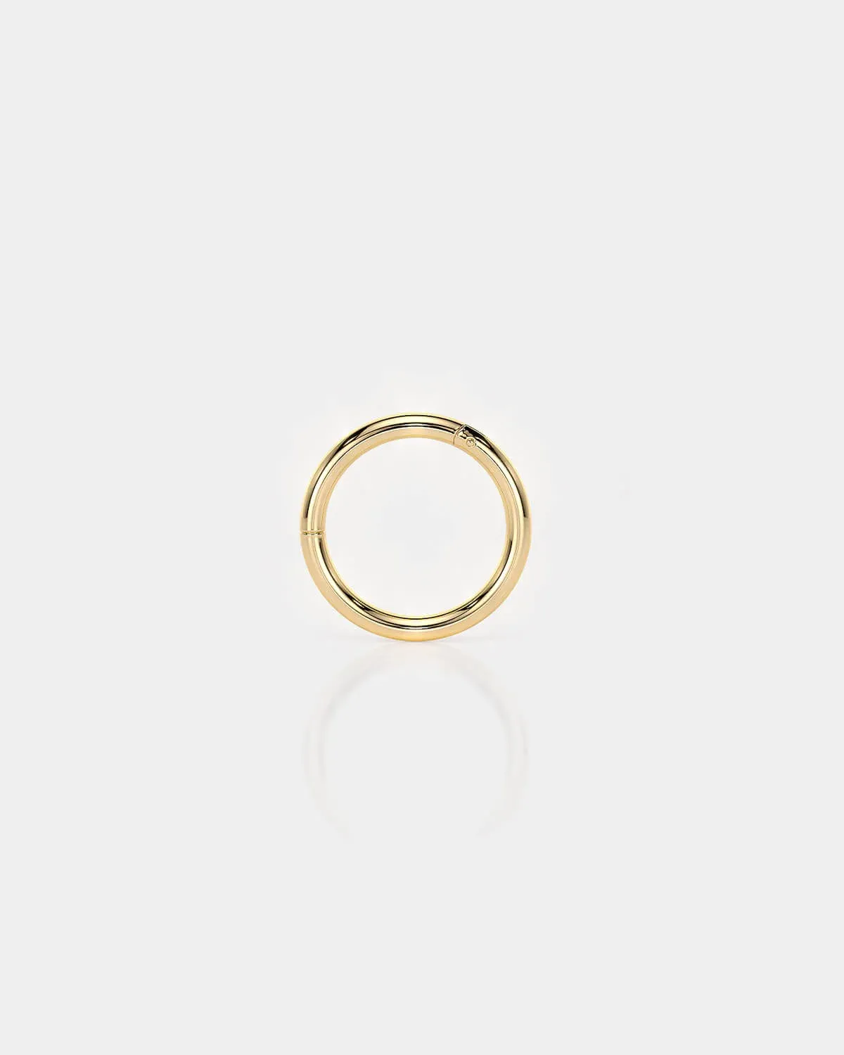 HINGED RING | TITANIUM | 24k GOLD